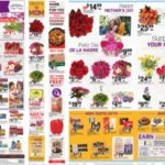 Giant Food weekly ad